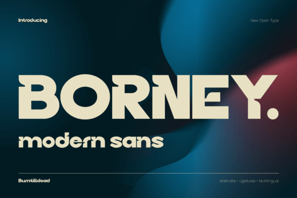 Borney: The Modern Sans Serif Font for Bold Branding