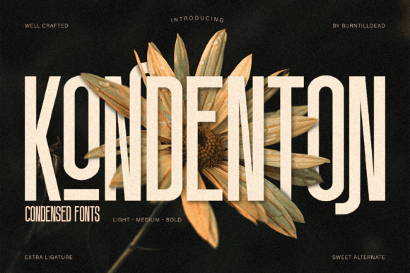 Kondenton: The Modern Typeface for Clean Branding
