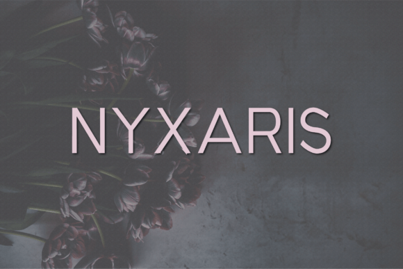 Nyxaris: A Sophisticated Sans Serif Typeface for Modern Editors