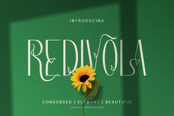 Redivola Typeface: Elevate Your Brand Visuals