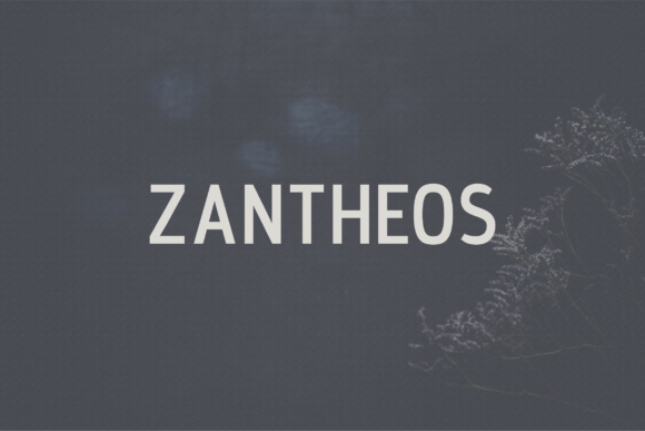 Zantheos Typeface for Modern Editorial Design